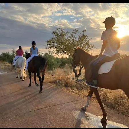 Elements Of Diros Pírgos Dhiroú
