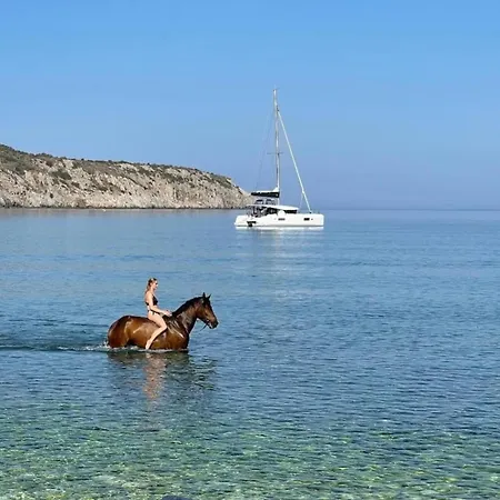 Πανσιόν Elements Of Diros 3*