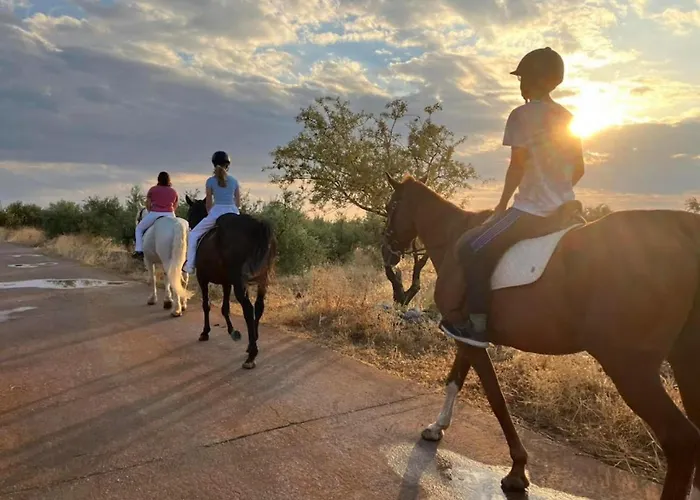 Elements Of Diros Pírgos Dhiroú